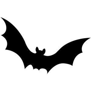 bat