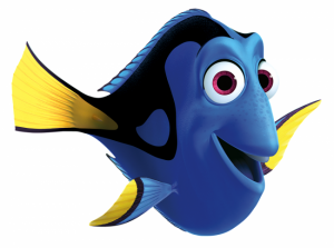 dory